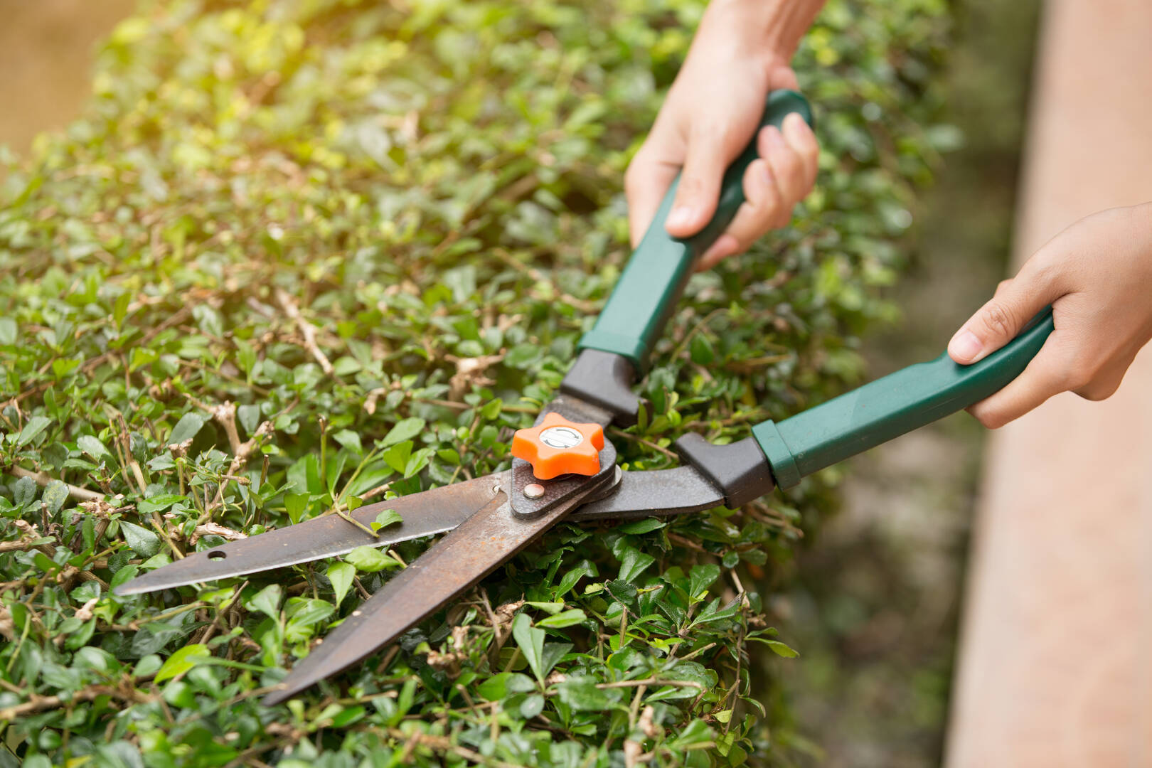 Fencing Company Tampa FL