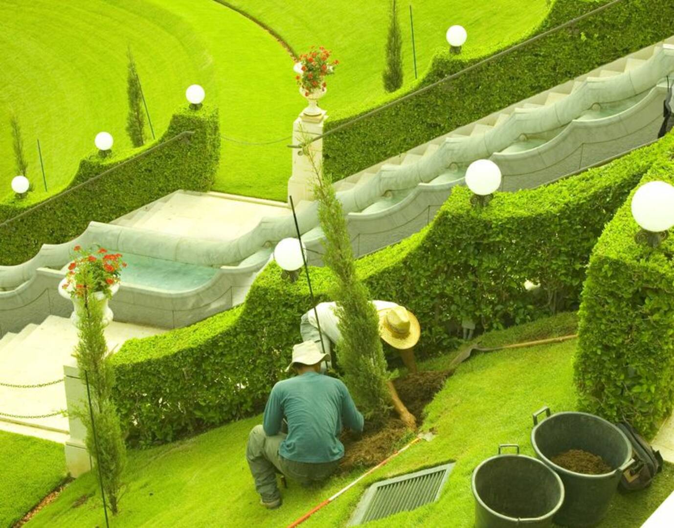 Pest Control Newport OR – pest control services