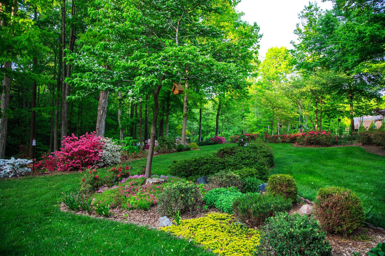 Emergency Tree Service Beachwood OH