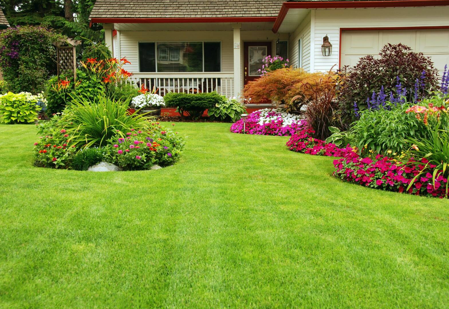 Professional Tree Removal Hollister Mo