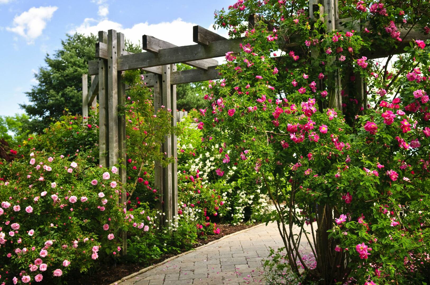 Custom Landscaping Design Services in Caseyville IL